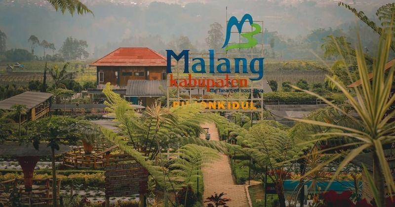 Instagram.com/cafesawah_pujonkidul